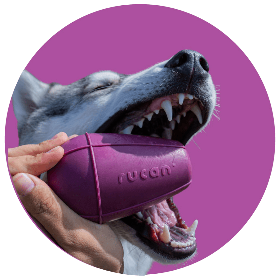 Conic - Garantía Rucan